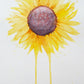 Art print of a watercolor painting of a large sunflower with petals radiating outward and two petals dripping down to the bottom of the painting.