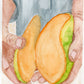 An art print of a watercolor painting of two hands holding a bright mango that has been cut into to reveal the inside.