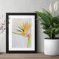 Watercolor painting of a bird of paradise flower painted in a loose, impressionist style in a black frame on a table in between two plants.