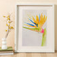 Watercolor painting of a bird of paradise flower painted in a loose, impressionist style in a white frame against a warm colored wall.