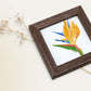 An art print of a watercolor painting of a bird of paradise flower.  The print is in a square wooden frame next to a dried flower.