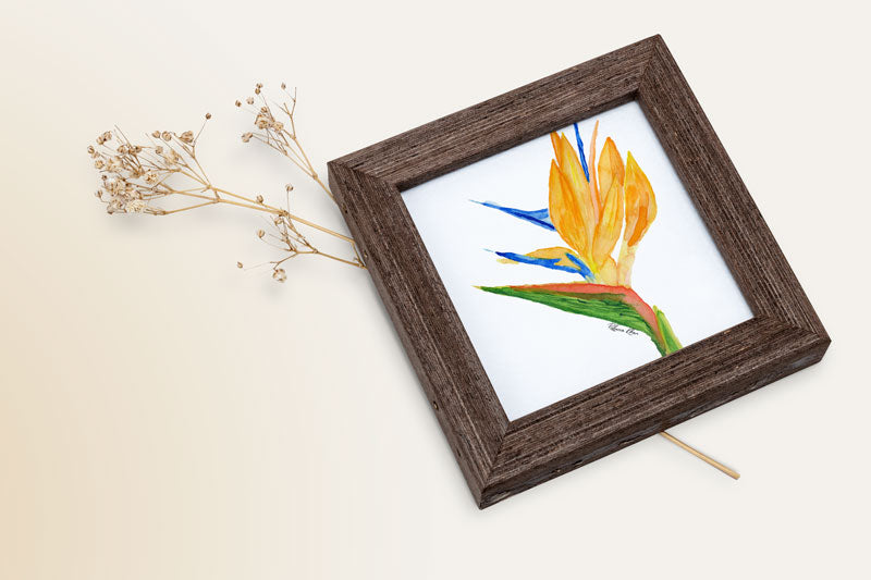 An art print of a watercolor painting of a bird of paradise flower.  The print is in a square wooden frame next to a dried flower.