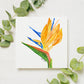 A square art print of a watercolor painting of a bird of paradise flower.  The print is surrounded by leaves.