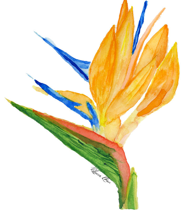 An art print of a watercolor painting of a bird of paradise flower.