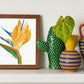 An art print of a watercolor painting of a bird of paradise flower.  The art print is in a square wooden frame on a shelf next to some small colorful vases.