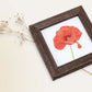 Color pencil drawing of an open red poppy with a green stem in a square wooden frame next to a dried flower.