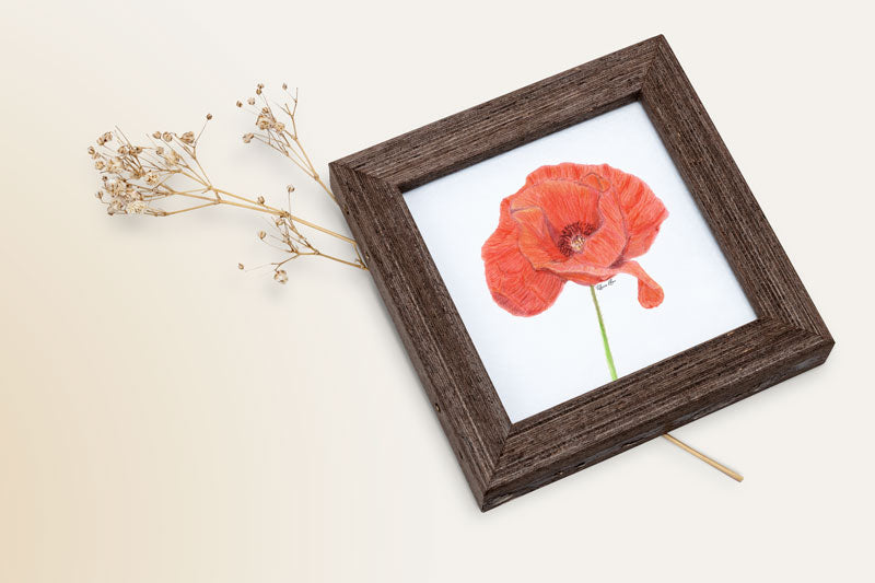 Art print of a color pencil drawing depicting an open red poppy with a green stem in a square wooden frame next to a dried flower.